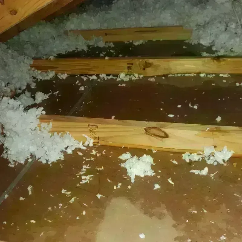 Attic Water Damage in Booneville, AR